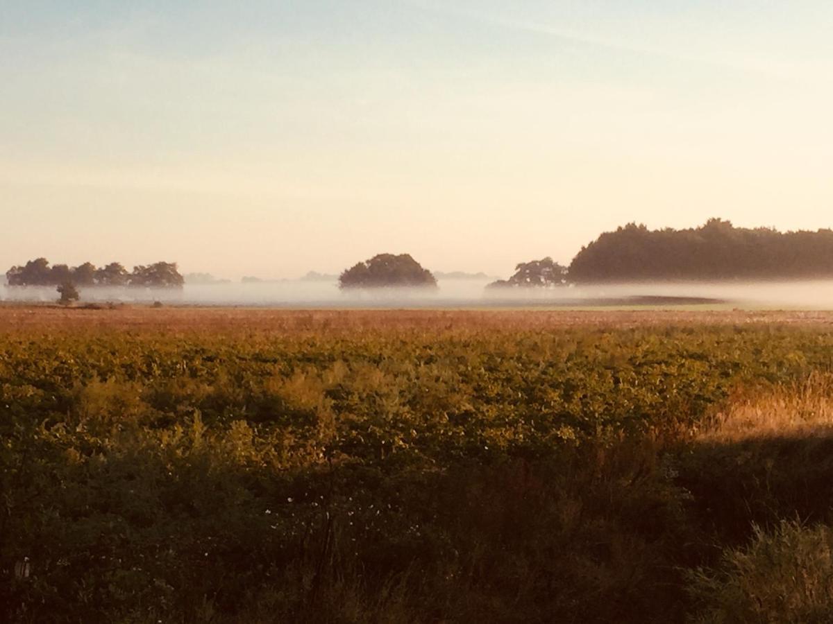 Bed and Breakfast De Distelweide Holsloot Zewnętrze zdjęcie