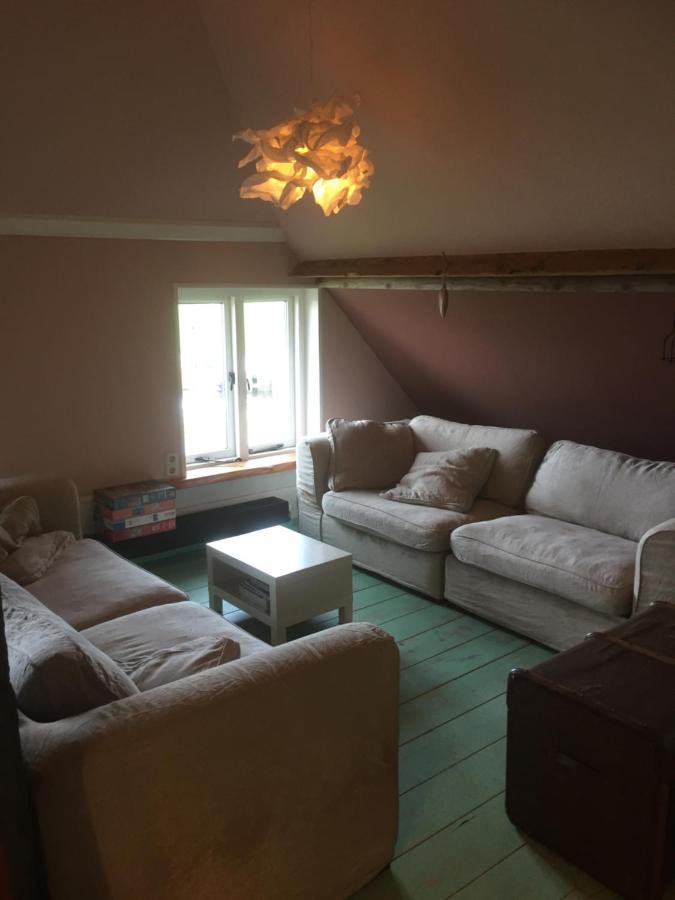 Bed and Breakfast De Distelweide Holsloot Zewnętrze zdjęcie