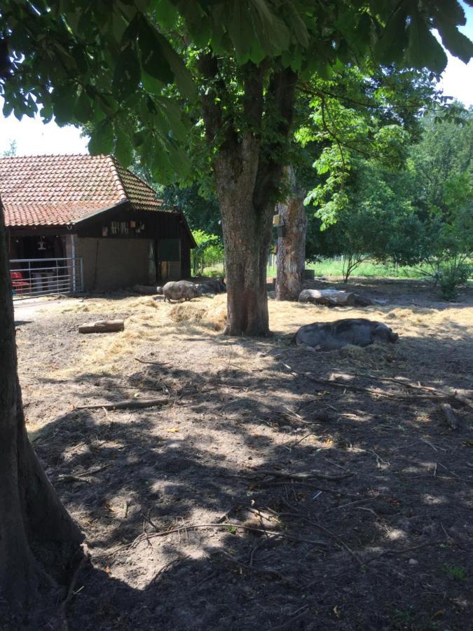 Bed and Breakfast De Distelweide Holsloot Zewnętrze zdjęcie