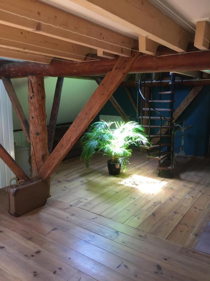 Bed and Breakfast De Distelweide Holsloot Zewnętrze zdjęcie
